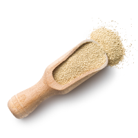 ingredients_transparent_02 https://brouwerijoudeland.nl/wp-content/uploads/2017/05/ingredients_transparent_02.png