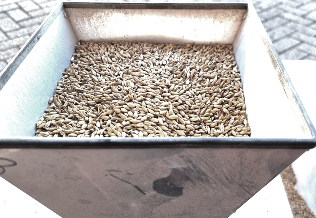 007 copy https://brouwerijoudeland.nl/wp-content/uploads/2025/12/007-copy.png